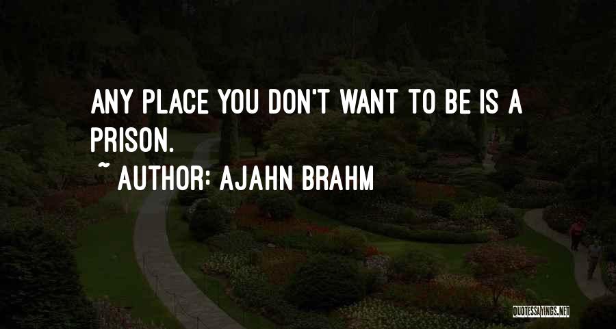 Ajahn Brahm Quotes 572869