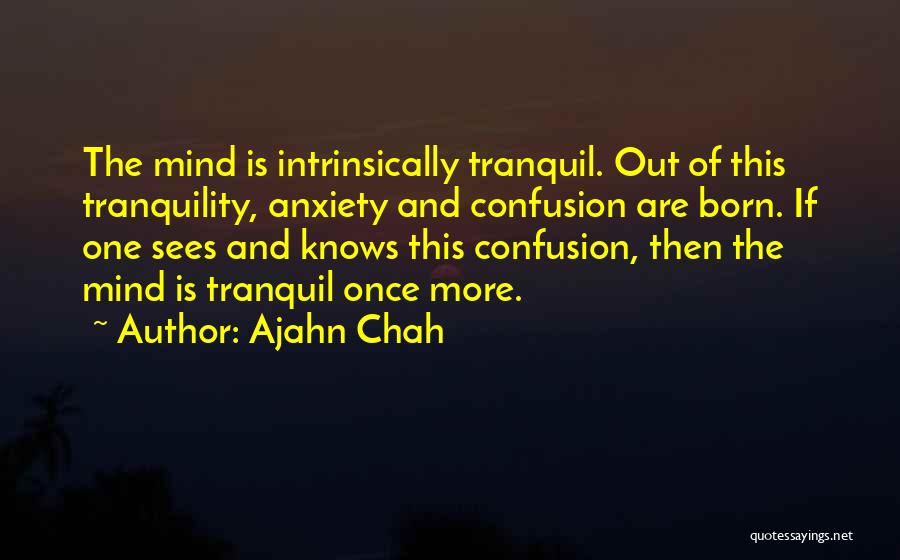 Ajahn Chah Quotes 1085579