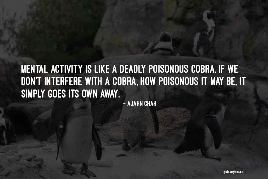 Ajahn Chah Quotes 1124648 Ajahn Chah Quotes 1124648