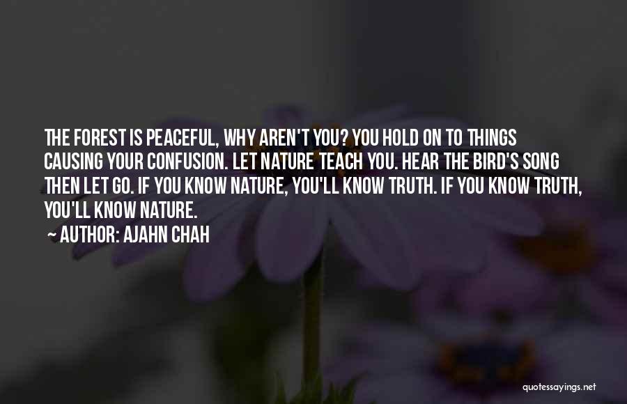 Ajahn Chah Quotes 1238314