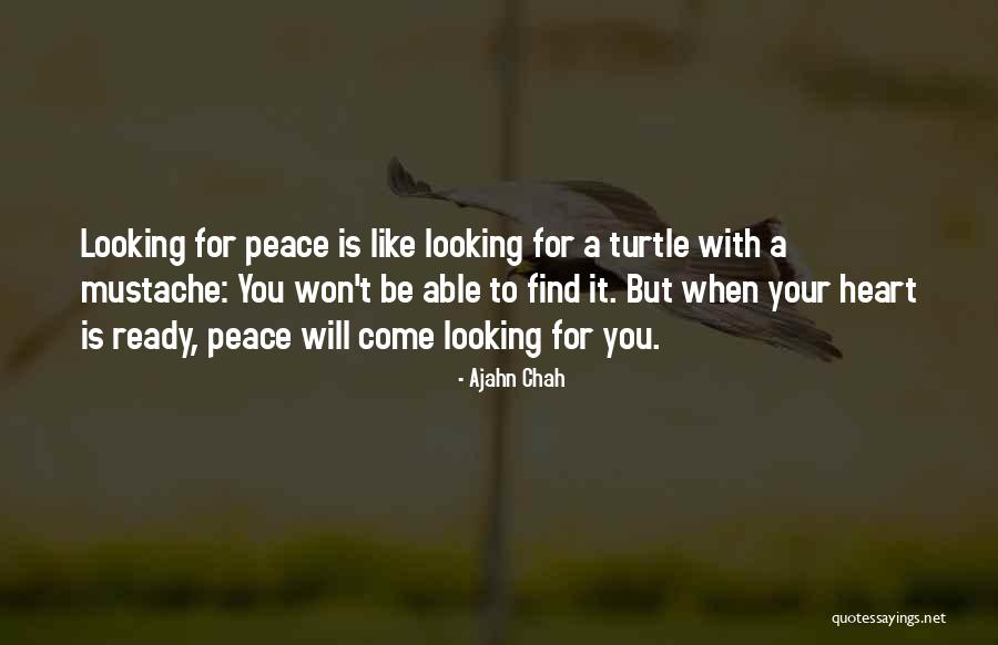 Ajahn Chah Quotes 1314600