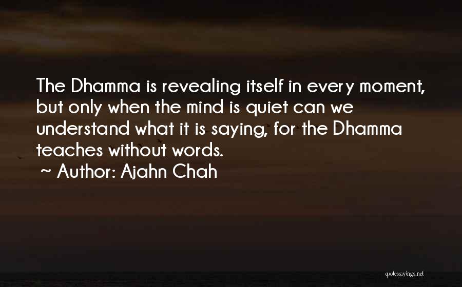 Ajahn Chah Quotes 1443628