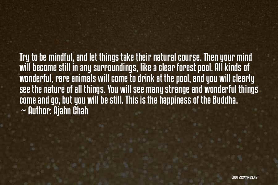 Ajahn Chah Quotes 1725552