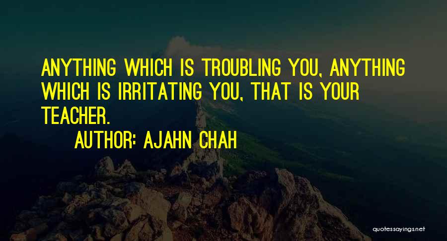 Ajahn Chah Quotes 1749087