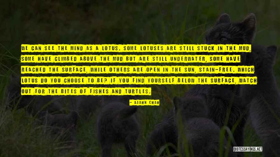 Ajahn Chah Quotes 1900807 Ajahn Chah Quotes 1900807