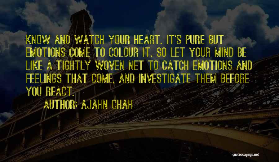 Ajahn Chah Quotes 348239