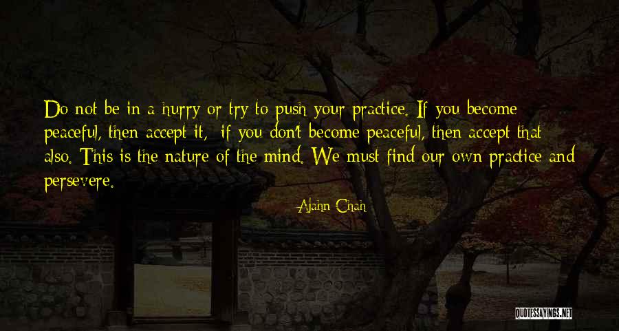 Ajahn Chah Quotes 545185