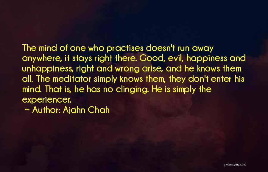 Ajahn Chah Quotes 557111