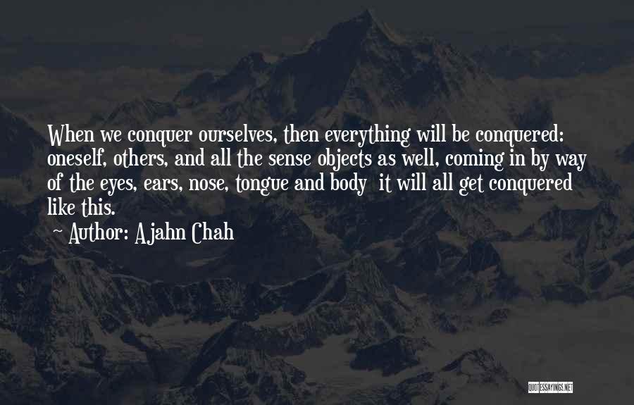 Ajahn Chah Quotes 579052