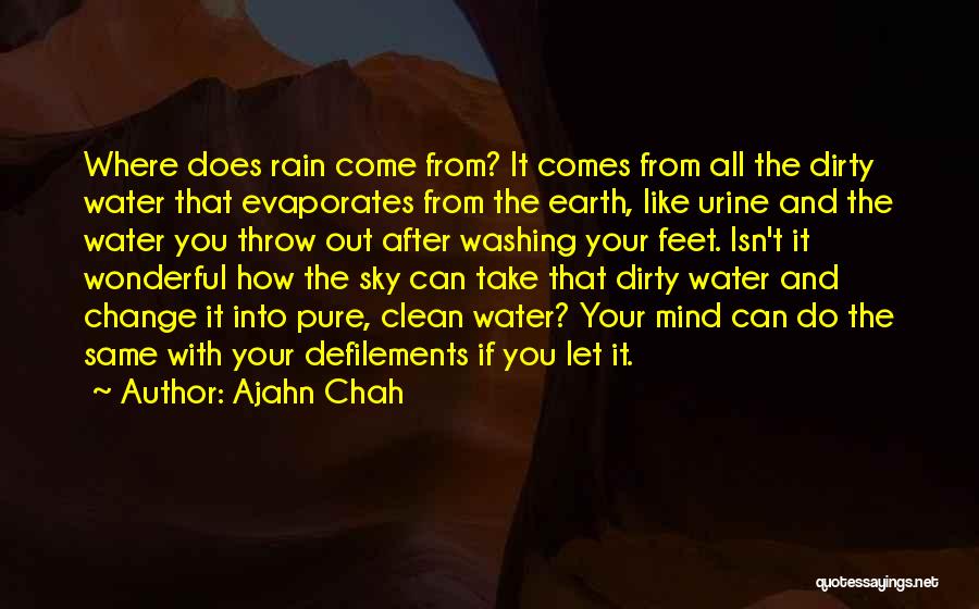 Ajahn Chah Quotes 665001