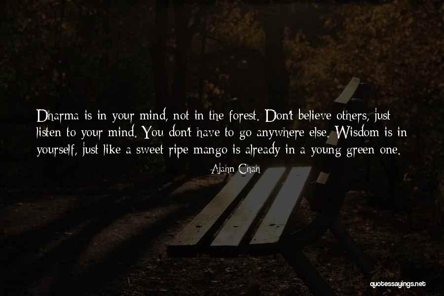 Ajahn Chah Quotes 864686 Ajahn Chah Quotes 864686