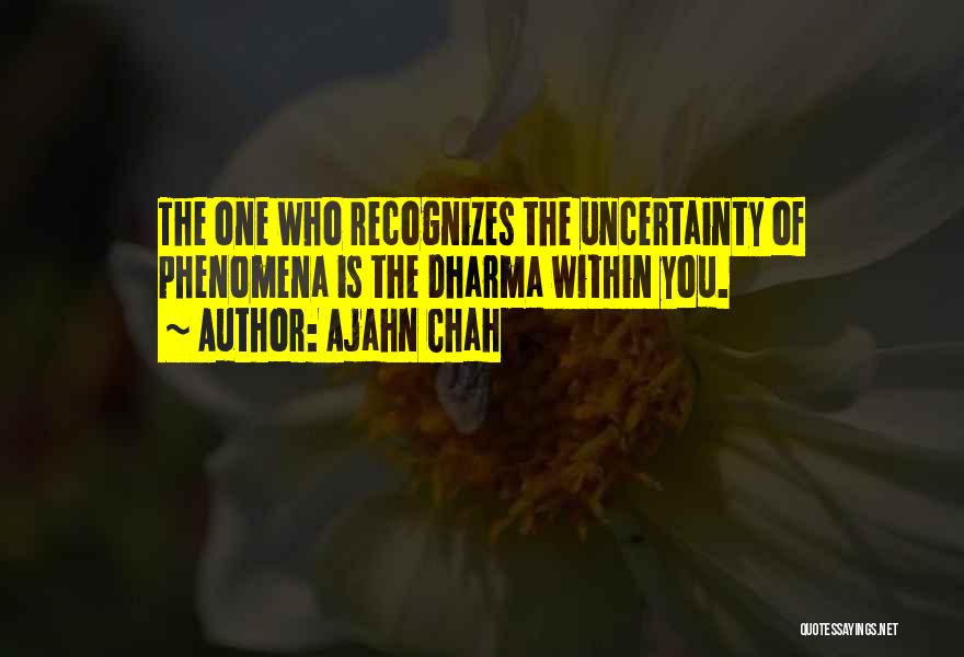 Ajahn Chah Quotes 956799
