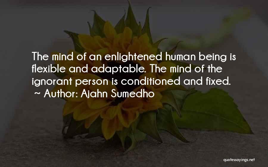 Ajahn Sumedho Quotes 1014075