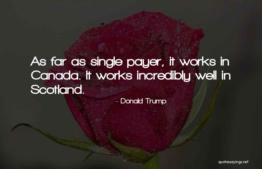 Ajami Flooring Quotes By Donald Trump Ajami Flooring Quotes By Donald Trump