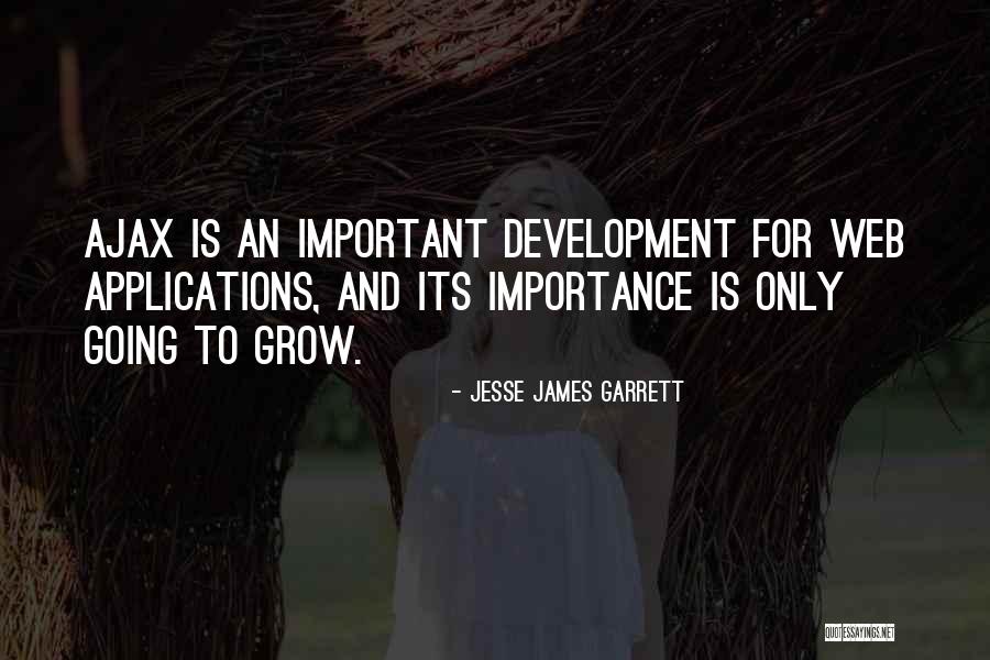 Ajax Quotes By Jesse James Garrett