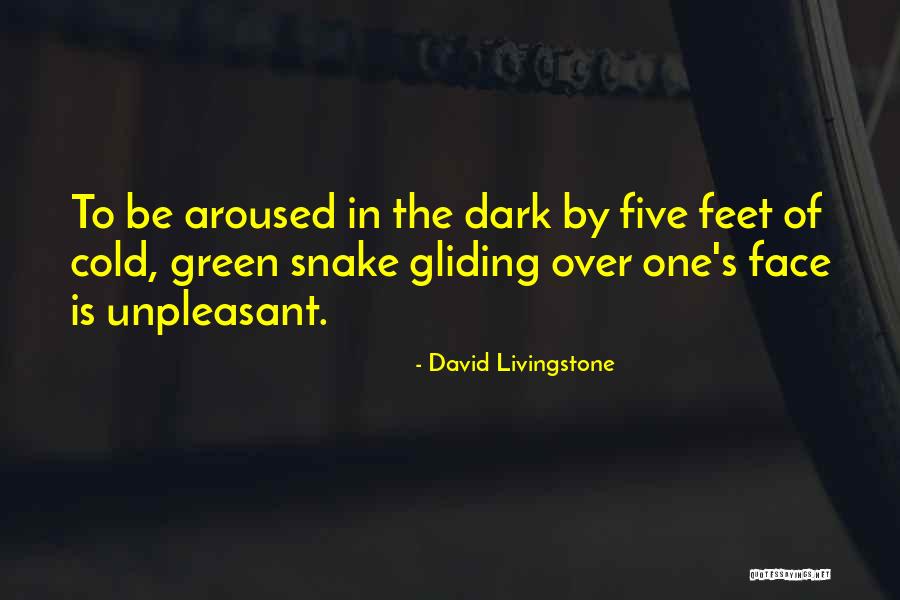 Ajay Pal Quotes By David Livingstone Ajay Pal Quotes By David Livingstone