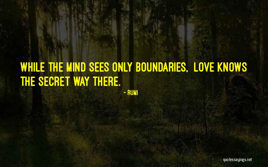Ajeta Full Quotes By Rumi Ajeta Full Quotes By Rumi