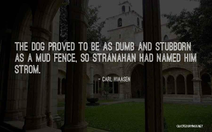 Ajies Dulces Quotes By Carl Hiaasen Ajies Dulces Quotes By Carl Hiaasen