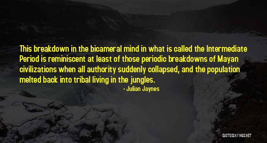 Akacia Quotes By Julian Jaynes Akacia Quotes By Julian Jaynes