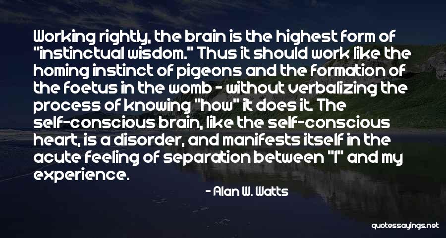 Akanuma Bayi Quotes By Alan W. Watts Akanuma Bayi Quotes By Alan W. Watts