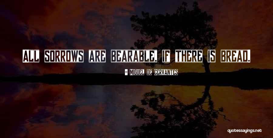 Akbash Quotes By Miguel De Cervantes Akbash Quotes By Miguel De Cervantes