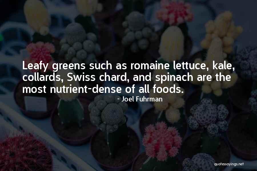 Akdag Onyx Quotes By Joel Fuhrman Akdag Onyx Quotes By Joel Fuhrman