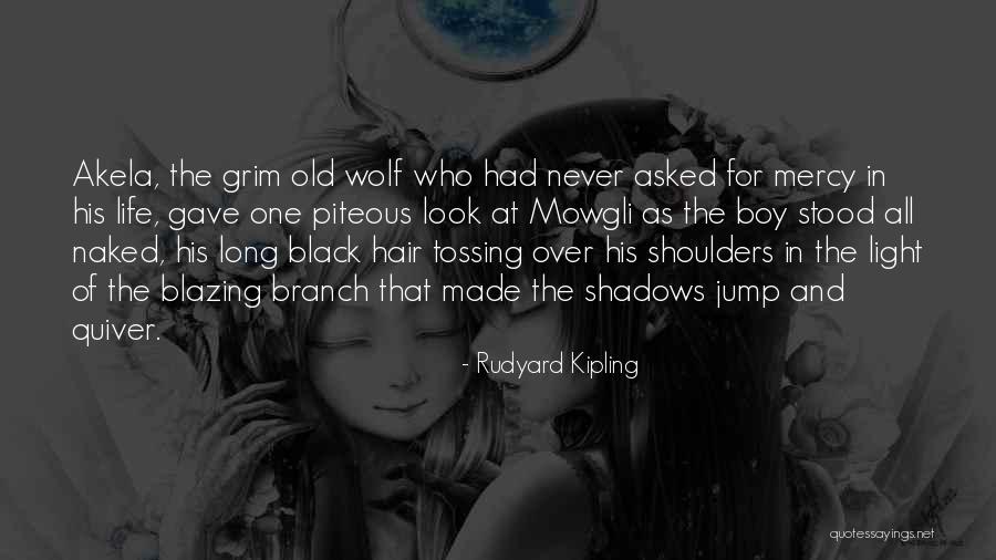 Akela Quotes By Rudyard Kipling