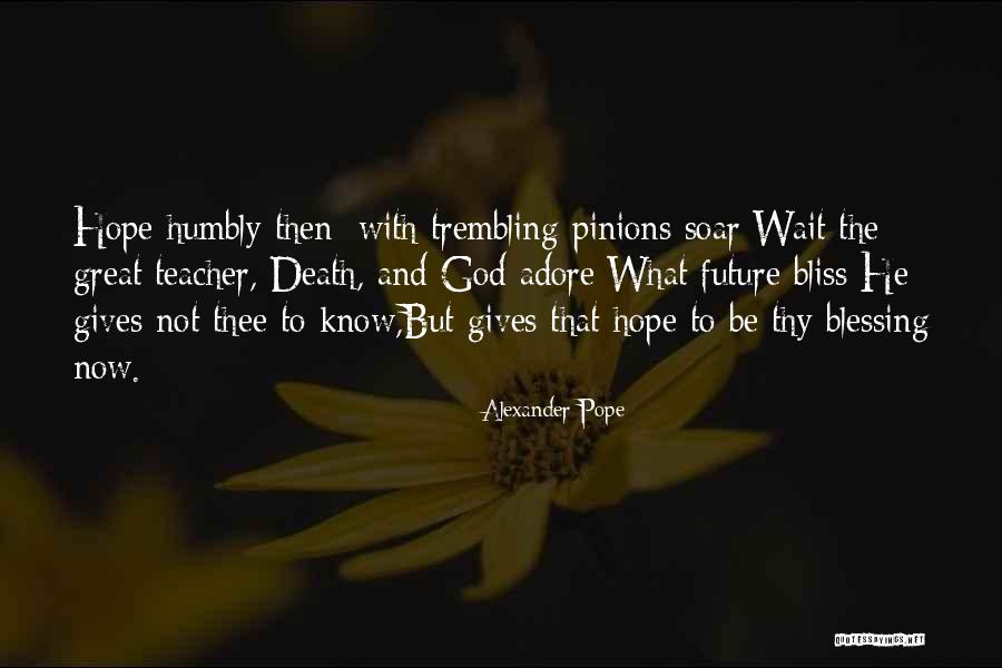 Akemi Bedsheet Quotes By Alexander Pope Akemi Bedsheet Quotes By Alexander Pope