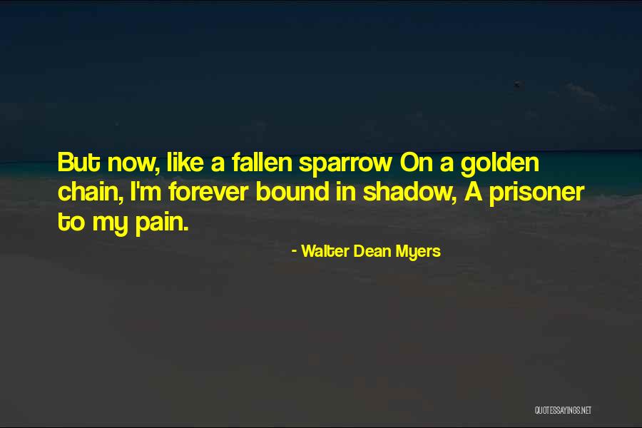 Akerlof And Yellen Quotes By Walter Dean Myers Akerlof And Yellen Quotes By Walter Dean Myers