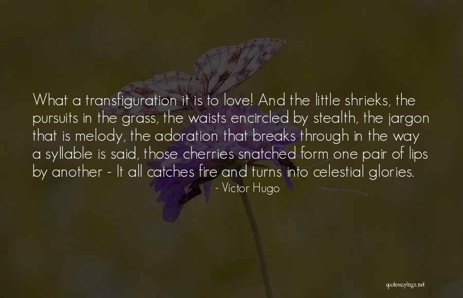 Aketon Quotes By Victor Hugo Aketon Quotes By Victor Hugo