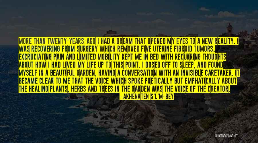 Akhenaten S'L'M-Bey Quotes 1538736 Akhenaten S'L'M-Bey Quotes 1538736