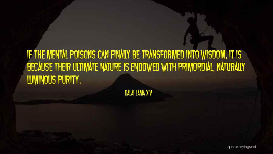 Akhenatens Daughters Quotes By Dalai Lama XIV Akhenatens Daughters Quotes By Dalai Lama XIV
