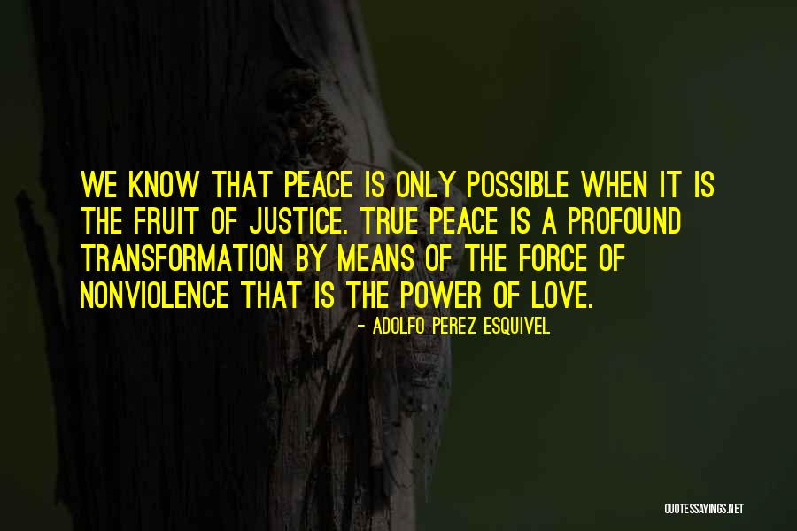 Akhmeteli Quotes By Adolfo Perez Esquivel Akhmeteli Quotes By Adolfo Perez Esquivel