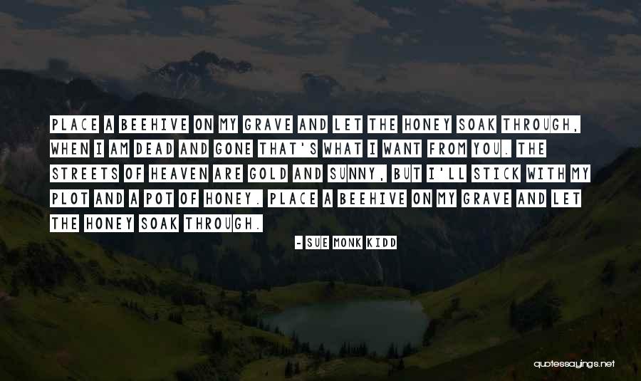 Akhmeteli Quotes By Sue Monk Kidd Akhmeteli Quotes By Sue Monk Kidd