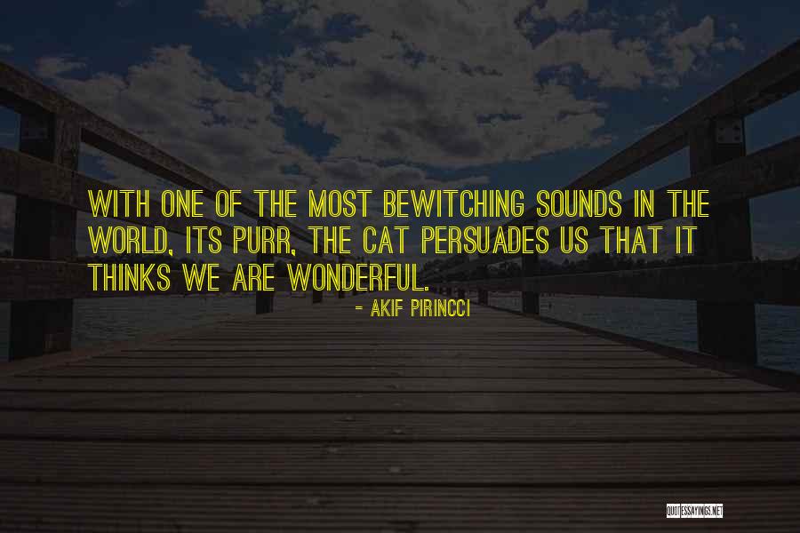 Akif Pirincci Quotes 1075665 Akif Pirincci Quotes 1075665