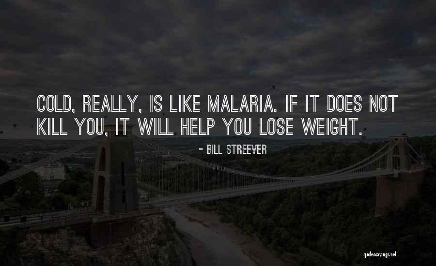 Akili Dada Quotes By Bill Streever Akili Dada Quotes By Bill Streever