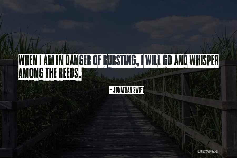 Akinwumi Ayodeji Quotes By Jonathan Swift Akinwumi Ayodeji Quotes By Jonathan Swift