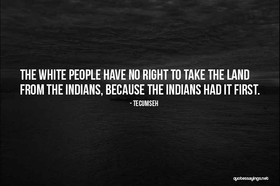 Akira Tonomura Quotes By Tecumseh Akira Tonomura Quotes By Tecumseh