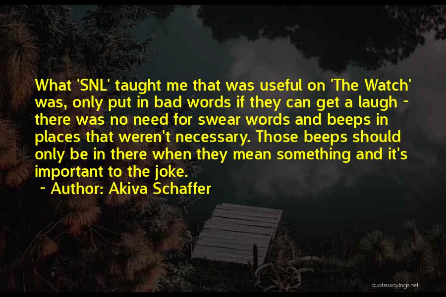 Akiva Schaffer Quotes 679308