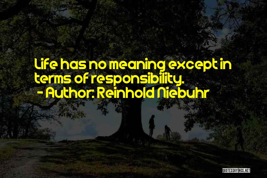 Akkha Masoor Quotes By Reinhold Niebuhr