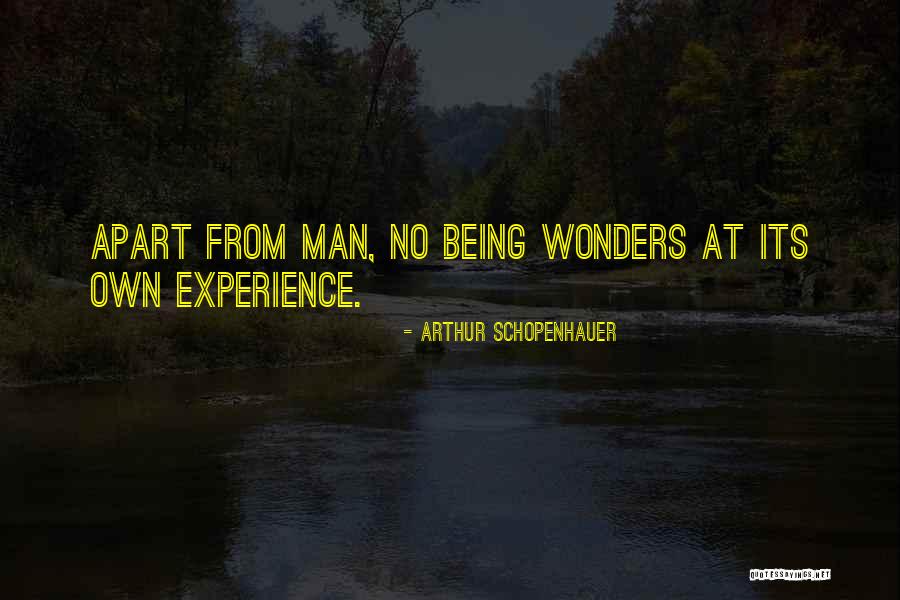 Akmenys Lt Quotes By Arthur Schopenhauer Akmenys Lt Quotes By Arthur Schopenhauer