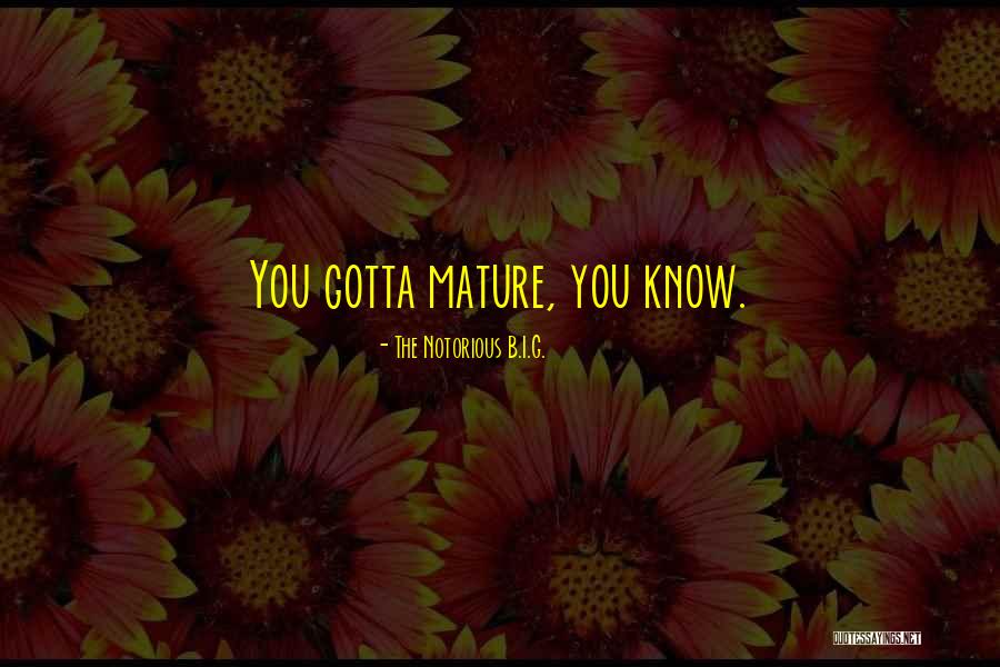 Akmuo Opalas Quotes By The Notorious B.I.G. Akmuo Opalas Quotes By The Notorious B.I.G.