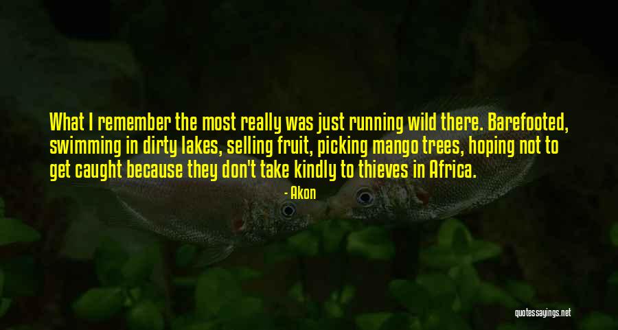 Akon Quotes 133908 Akon Quotes 133908