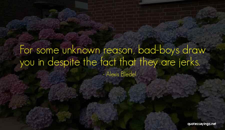 Akpar Quotes By Alexis Bledel Akpar Quotes By Alexis Bledel