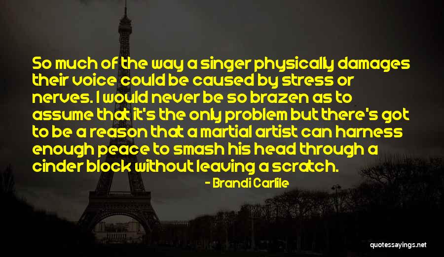 Akram Rahi Quotes By Brandi Carlile Akram Rahi Quotes By Brandi Carlile