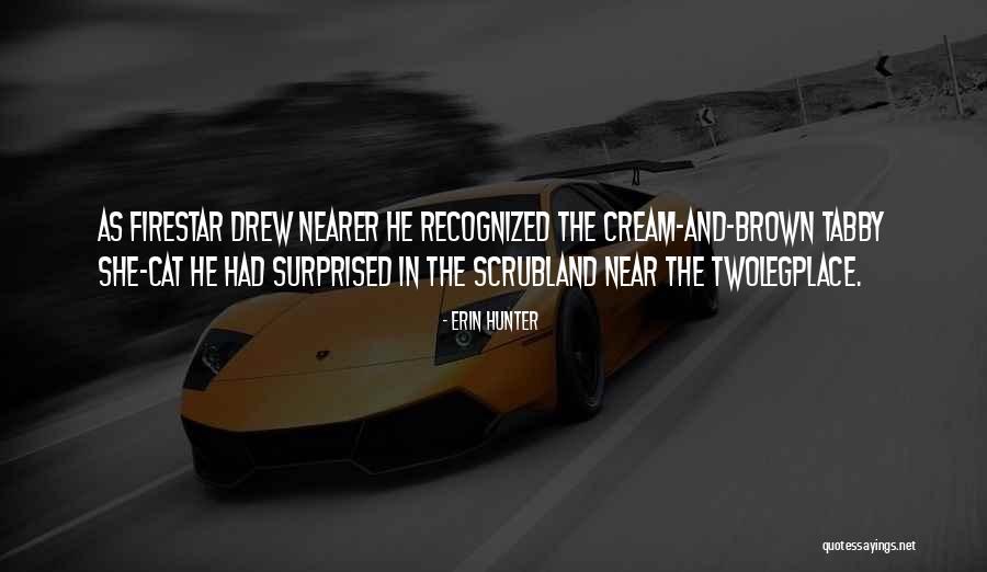Akshara Foundation Quotes By Erin Hunter Akshara Foundation Quotes By Erin Hunter