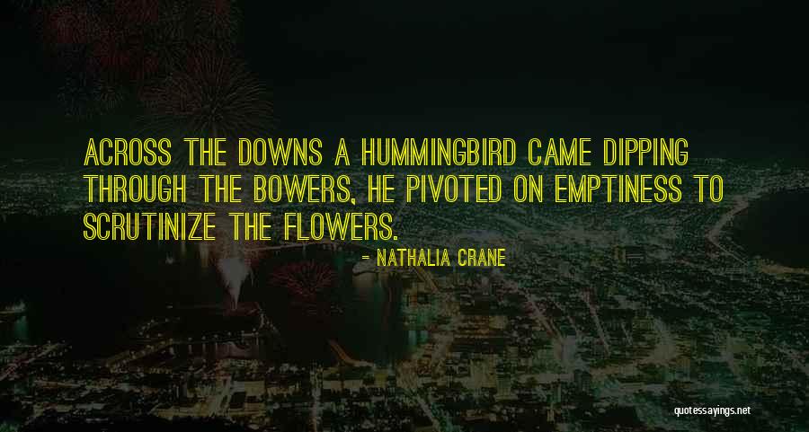 Aktive Disinfecting Quotes By Nathalia Crane Aktive Disinfecting Quotes By Nathalia Crane