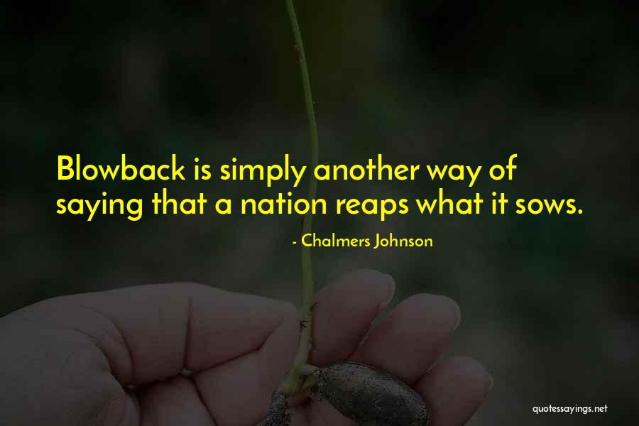 Aku Mencintaimu Quotes By Chalmers Johnson