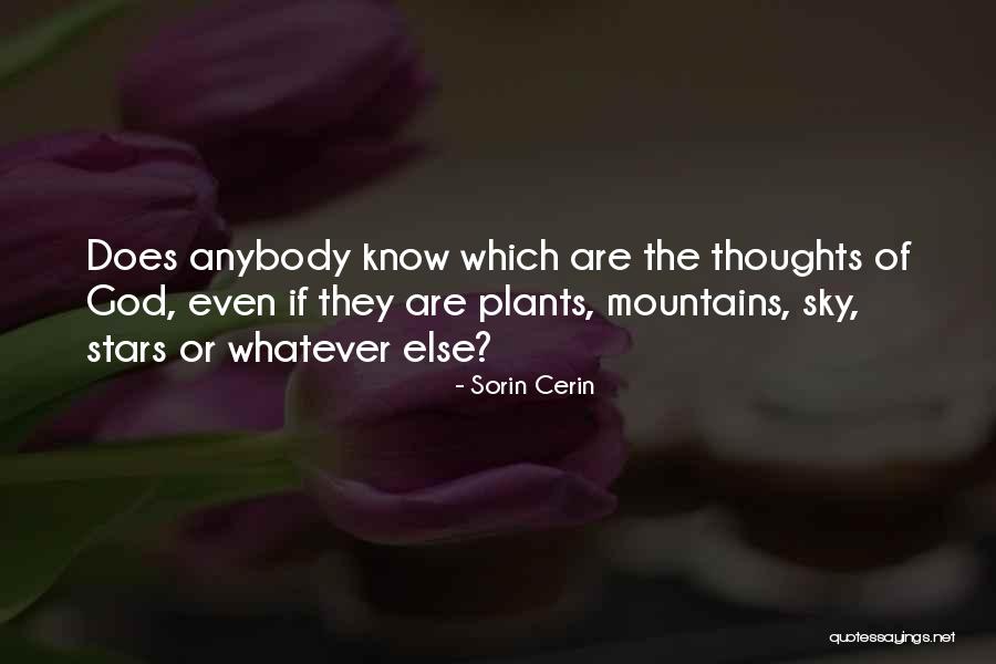 Aku Mencintaimu Quotes By Sorin Cerin