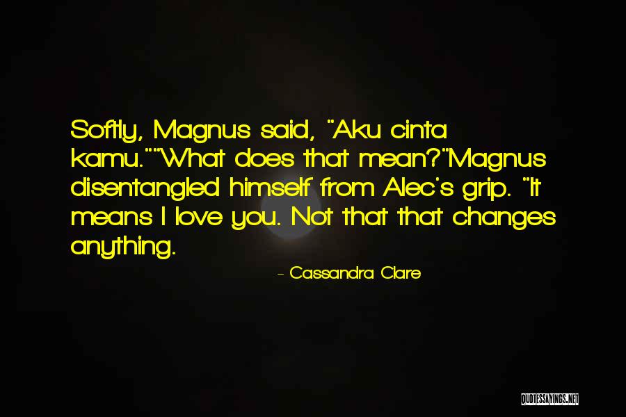Aku Okay Quotes By Cassandra Clare Aku Okay Quotes By Cassandra Clare